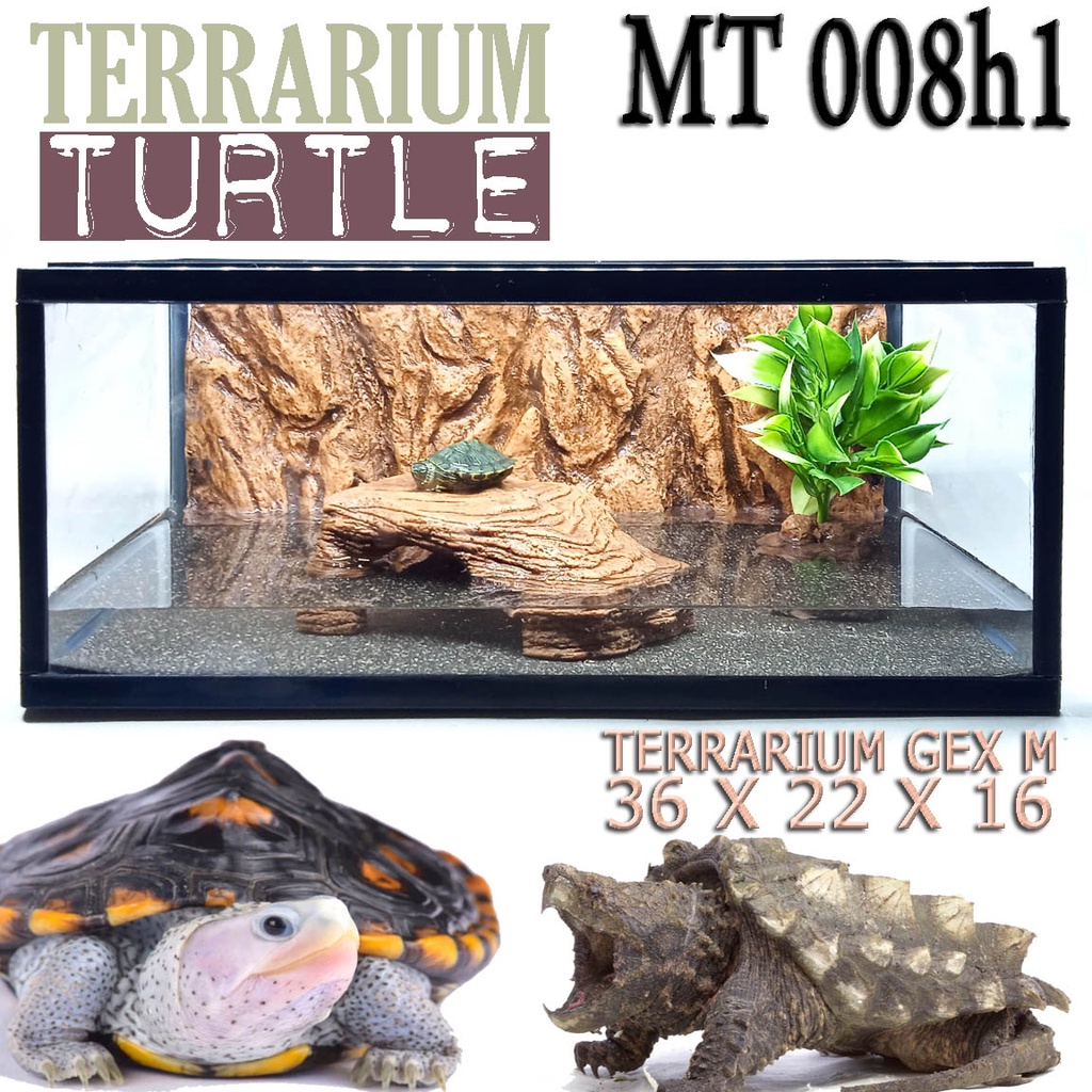 MT008H1 AKUARIUM TERRARIUM TURTLE FULL SET KANDANG KURA KURA AIR RES BRAZIL RAZOR DAMER ENCLOSURE RE