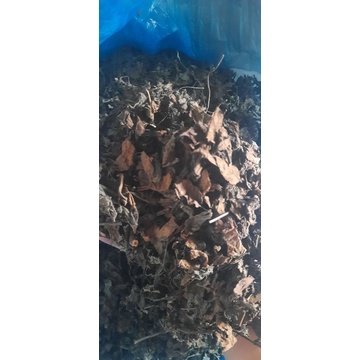 

1 kilo daun cincau hitam kering grad A