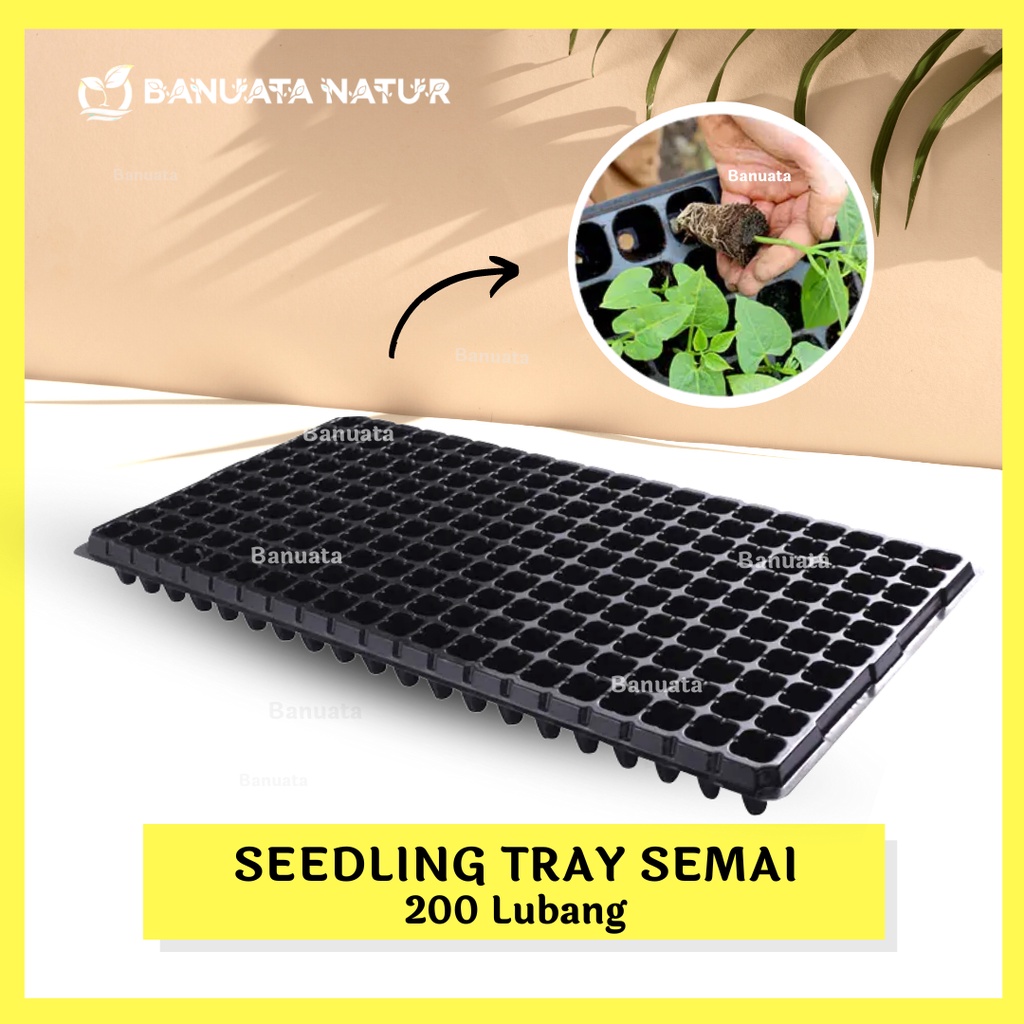 TRAY SEMAI / POT TRAY 200 lubang Bahan Tebal -  Berkualitas - Banuata
