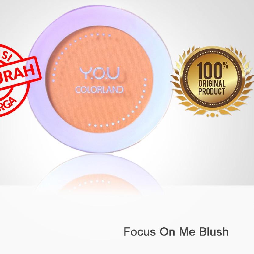 ✻ YOU Colorland - Focus On Me Blush ➣