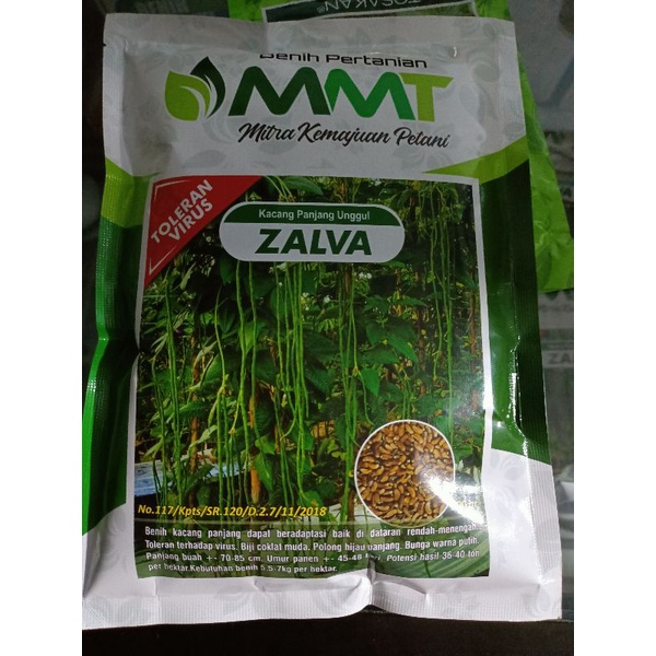 ZALVA Benih KACANG PANJANG dari MMT (TOLERAN VIRUS)