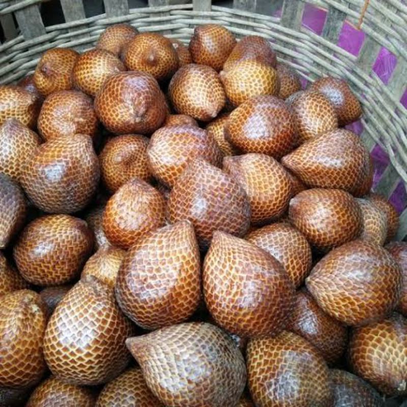 

salak pondoh 1 kg fress