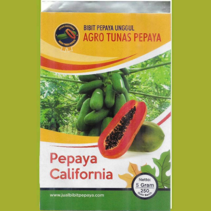Biji Bibit Pepaya California/ IPB-9 (5 gram/ 250 butir)