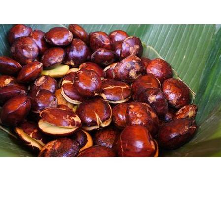 

➤ Jengkol Mentah Super Tua Fresh Segar Murah Meriah ➻