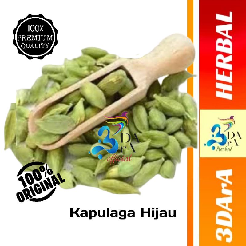 

Kapulaga Arab 100gr Premium - Kapulaga Hijau - Kapulaga India