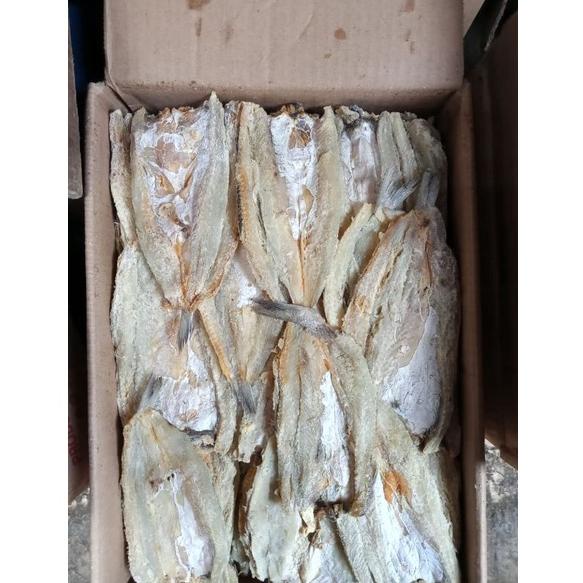 

STAR ikan asin GABUS LAUT/BLOSO ; 250 GRAM