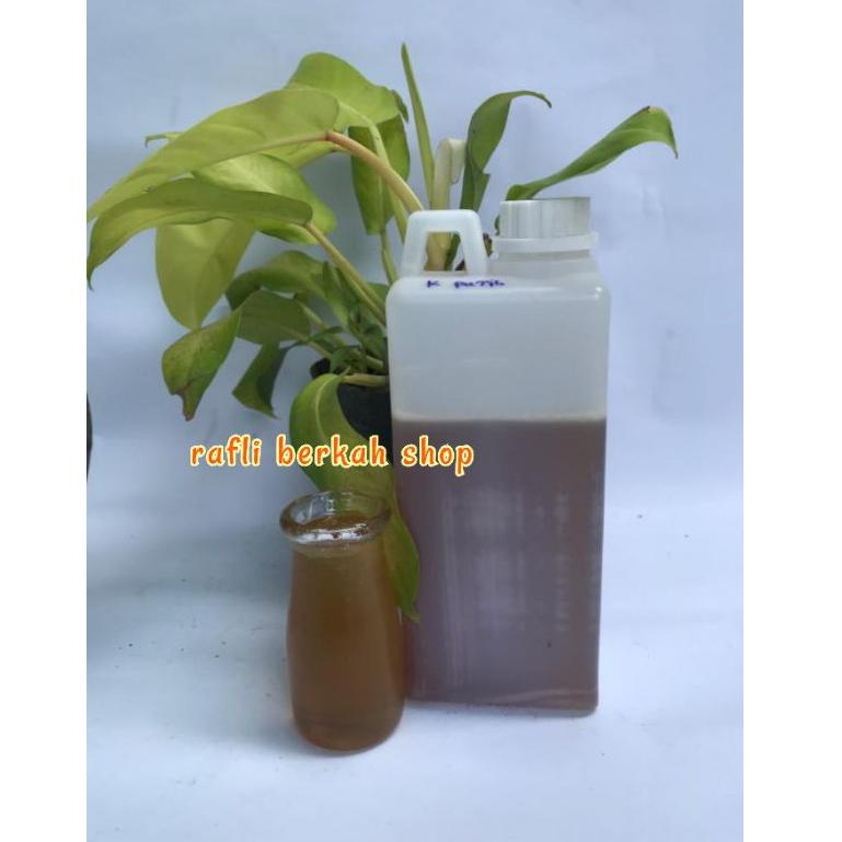 

Voucher BRAND Madu asli nektar bunga kayu putih 1kg MADU Terbukti
