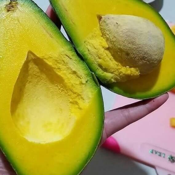 

MALL Alpukat Mentega 1kg isi 3-5 