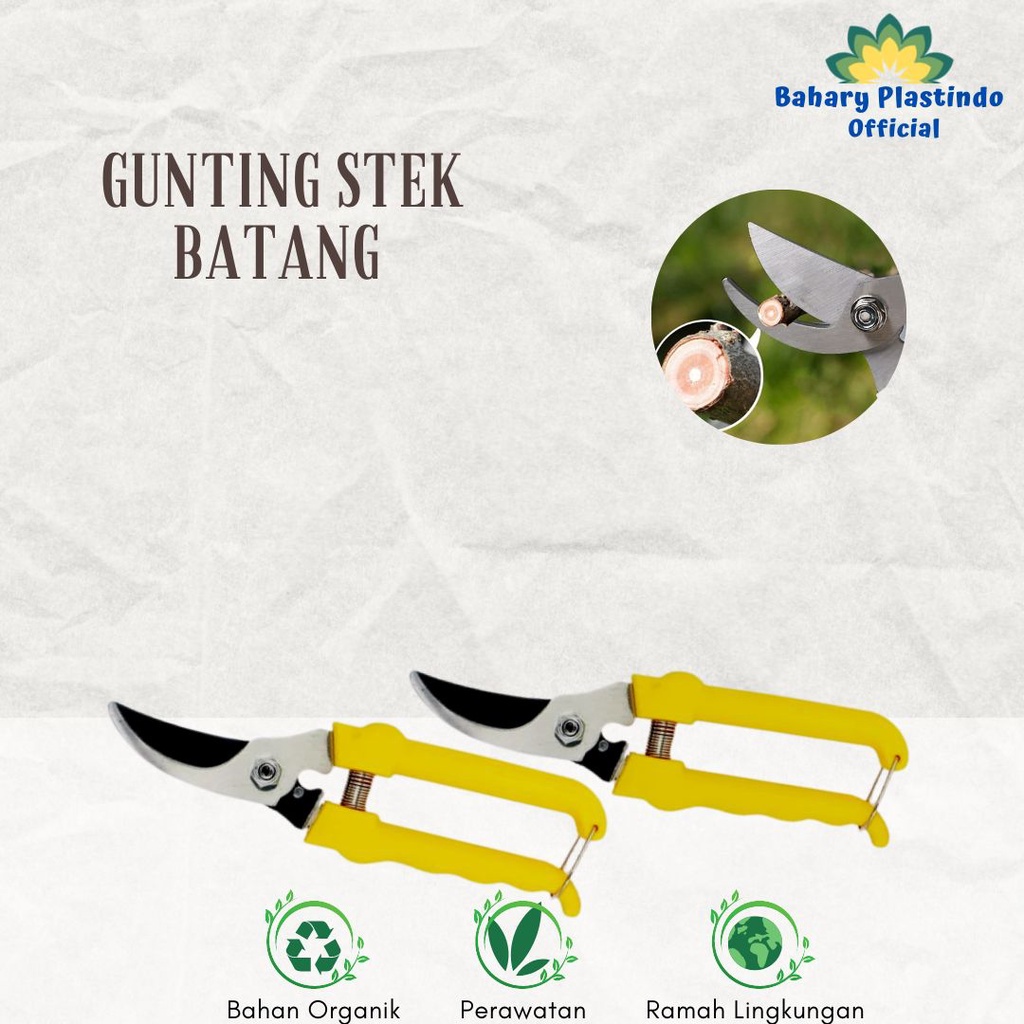 Gunting Stek Batang Dahan Pohon PROHEX Kecil