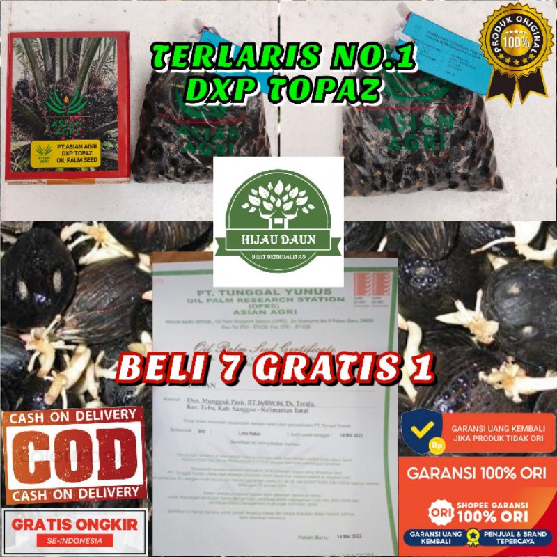 DXP TOPAZ TM-2 ASIAN AGRI ASLI UNGGUL (BERSERTIFIKAT