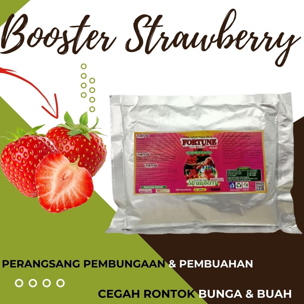 Pupuk Strawberry Agar Berbuah Lebat dan Manis, Pupuk Booster Strawberry Pupuk Perangsang Buah Strawb