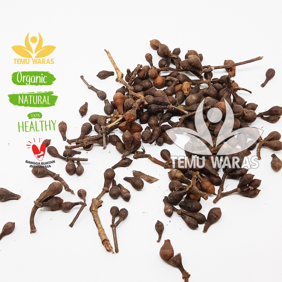 

Bersih!! Biji Ceplikan 1kg atau Ceplik Sari Kering Asli Hutan