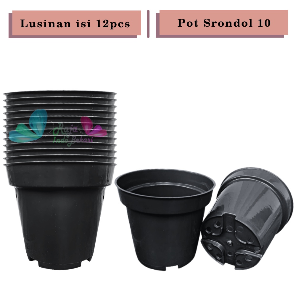 LUSINAN Pot 10 Cm Hitam Isi 12 Pcs TERMURAH GROSIR Lusinan 12pcs Pot Bunga Plastik Polos Kecil Murah