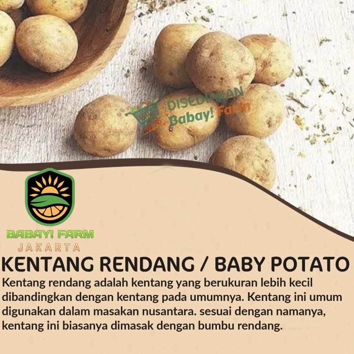 

Kentang Rendang Kecil / Baby Potato