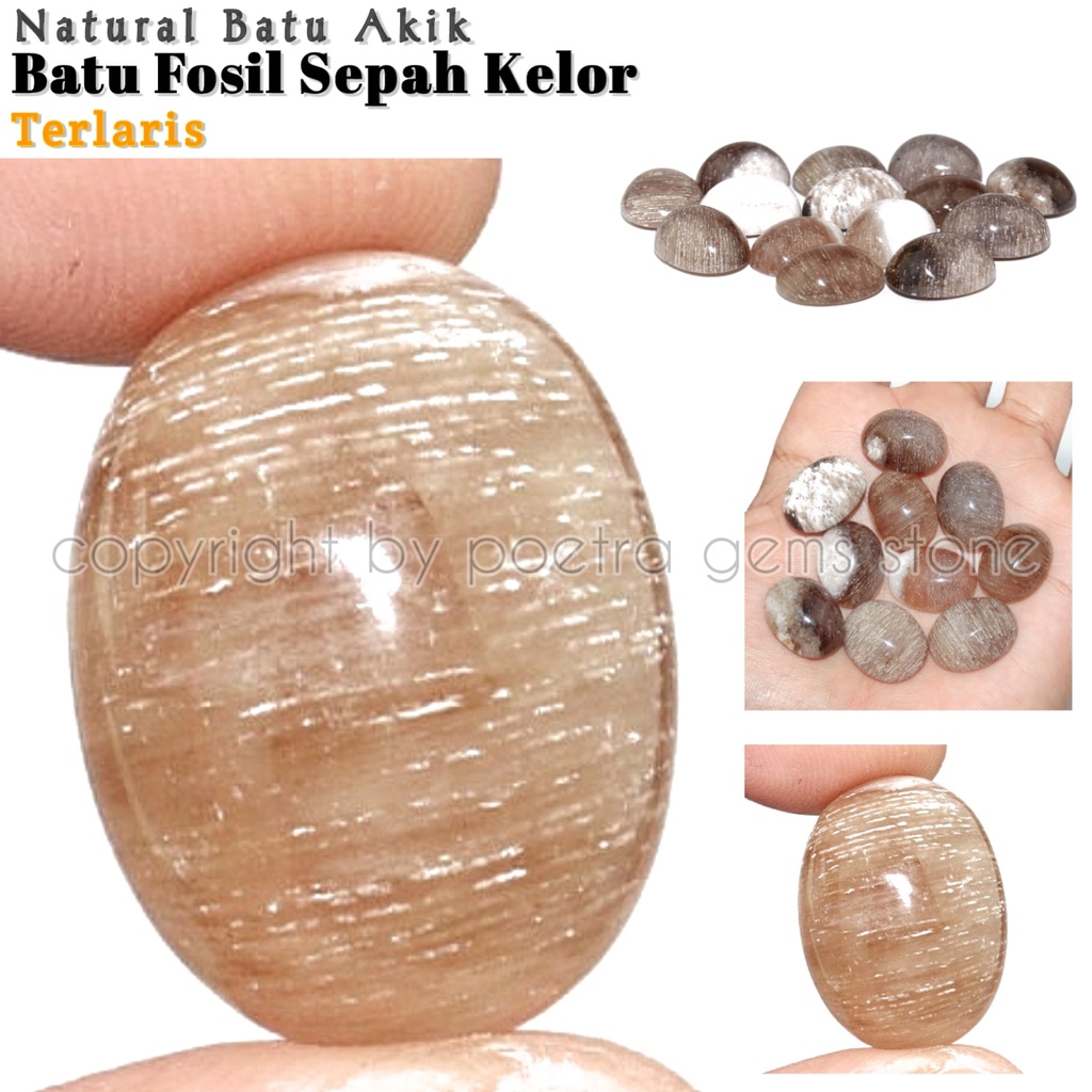 Batu Akik Natural Sepah Kelor Original