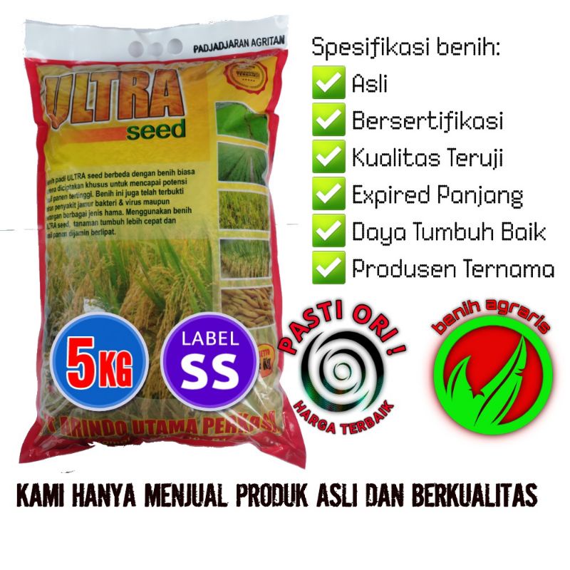 Benih padi Padjajaran 75 hst