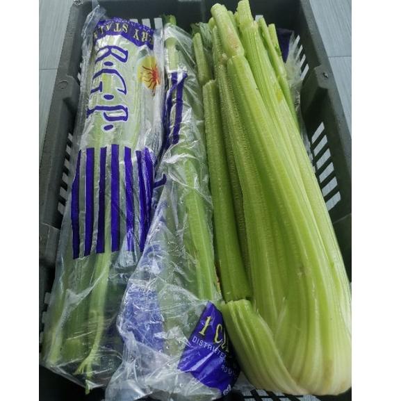 

Promo Celery Stick Import seledri Berkualitas FRESH 93