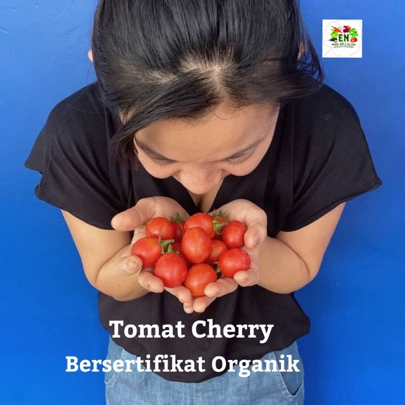 

1kg Sayur Tomat Cerry 100% Sertifikat Vegetable Murah Sehat Healthy Life Grosir Supermarket