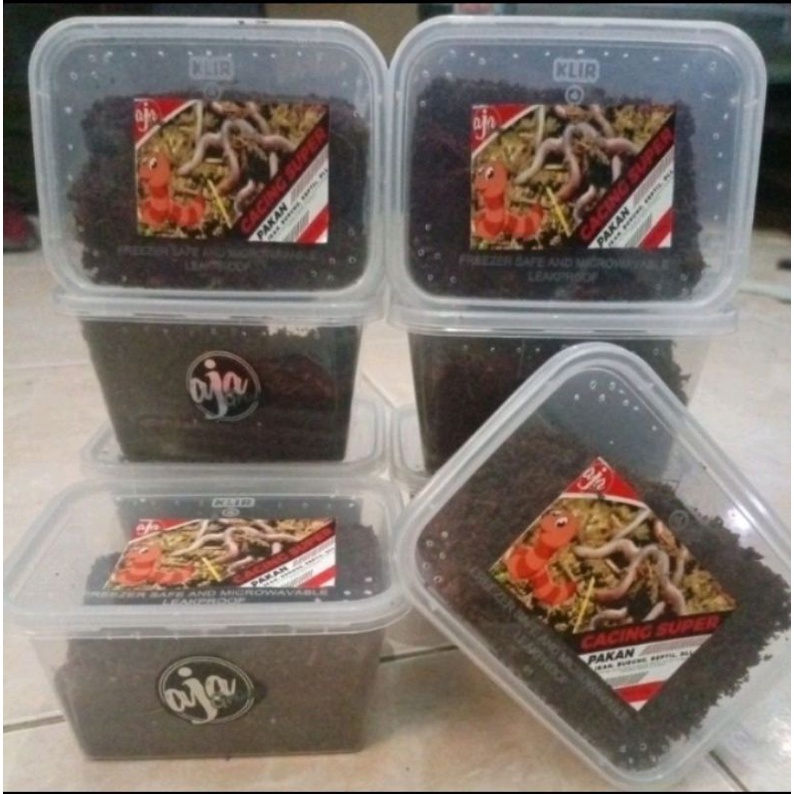 cacing tanah segar/cacing merah