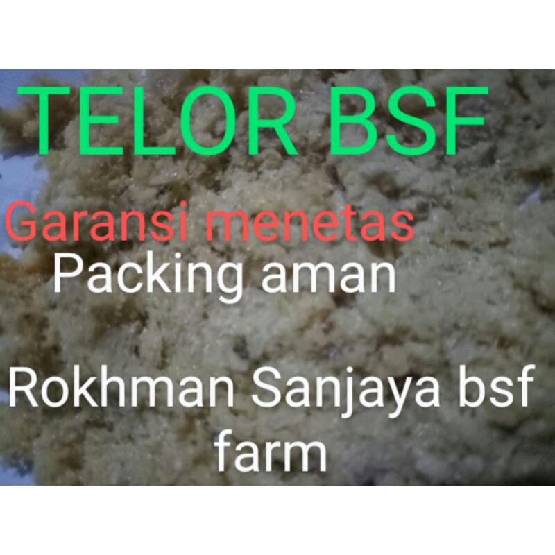 

telor magot bsf 25 gram + 2 gram