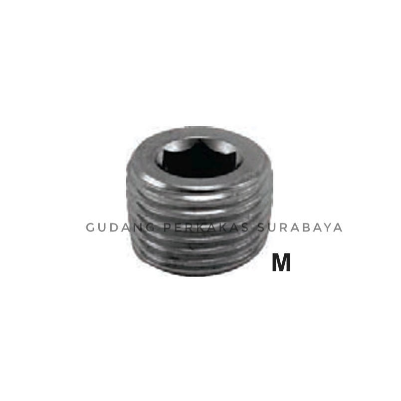 INNER HEXAGONAL SUS 304 PLUG TUTUP DRAT PIPA TUTUP PIPA TUTUP SAMBUNGAN PIPA STAINLESS KUNCI L SEGI 