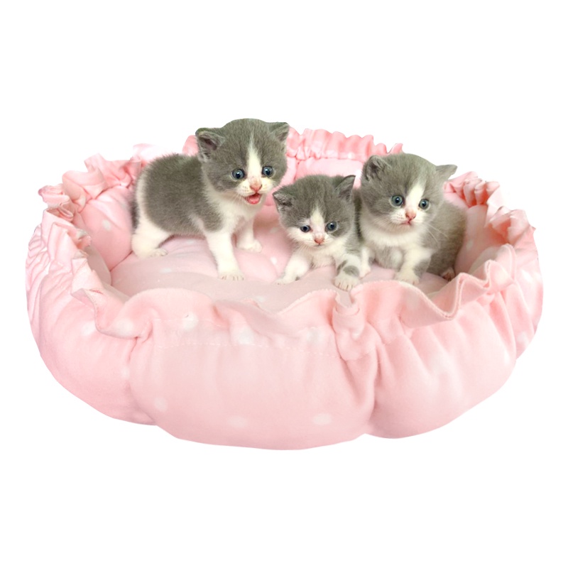 【Cat7】Tempat Tidur Kucing Anjing Pet Bed Sarang Kucing Penggunaan Ganda Drawstring Sarang Hewan Peliharaan Kasur/Rumah Kucing