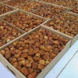 

➾ Kurma Sukari 3kg /Kurma Raja Sukari Premium ❋