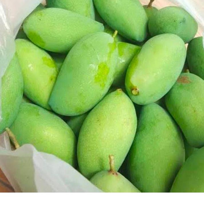 

Import ✨Terbaik✨ Mangga Muda Segar 1Kg , Rujak , Manis Asem TERMURAH Fresh Buah Baru Petik 100%Original Berkualitas !!