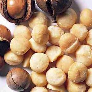 

Ω Roasted Macadamia Nut 250 Grams FREE ALAT PEMBUKANYA ➭