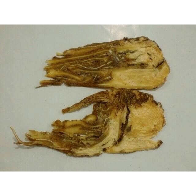 

HS Dang Gui Slice Premium Angelica Roots DangGui Tang Kuei Tau 100gr