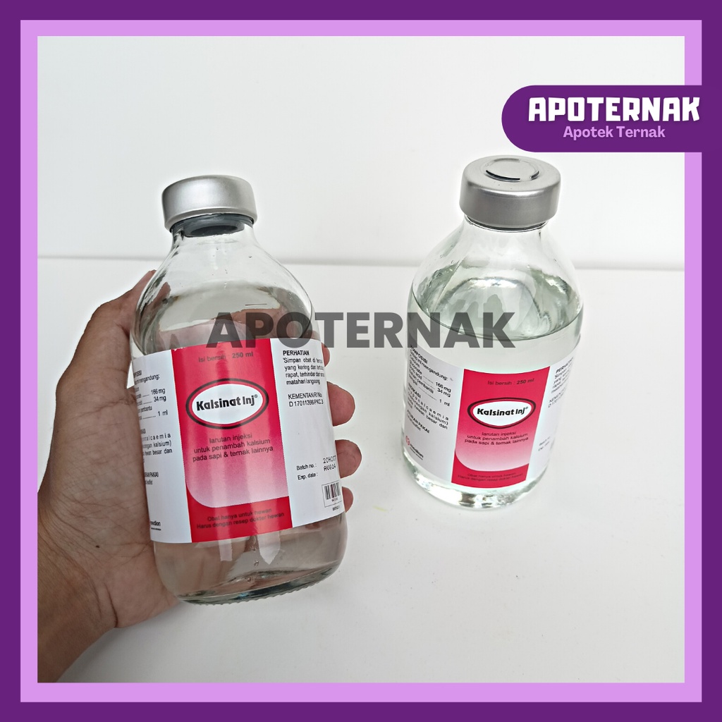 KALSINAT INJ 250 ml | Obat Hipokalsemia atau Kekurangan Kalsium Milk Fever | Injeksi Penambah Kalsium Sapi Kambing Kuda dll | MEDION