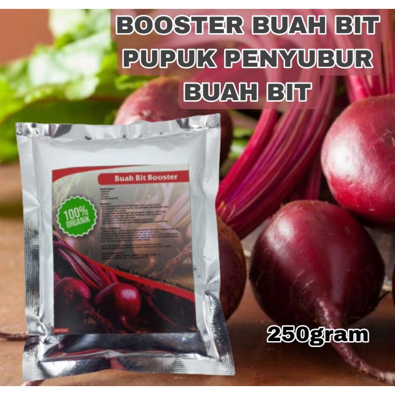 Pupuk organik perangsang dan penyubur buah bit nutrisi terbaik agar cepar berbuah lebat tidak mudah 