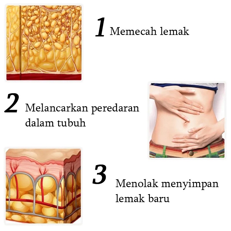 Krim Pelangsing Badan Slimming Cream Body Slimming Gel obat 60Gr-Pembakar Lemak Pelangsing Perut Lengan Pelangsing Paha Betis Pinggul