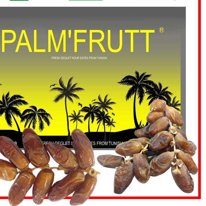 

❉ [NEW] KURMA TUNISIA [TANGKAI ] PALM FRUTT 500GR [KEMASAN BOX MIKA] ☆