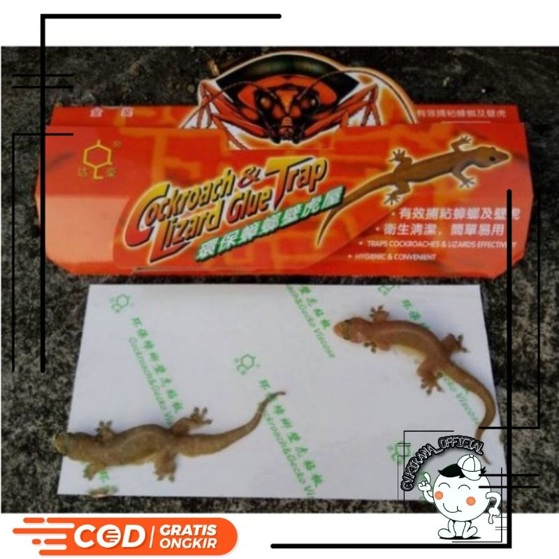

Lem cicak/kecoa super lengket perangkap lem cecek/kecoak ampuh