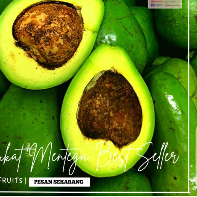 

♖ BUAH ALPUKAT MENTEGA HAPPYFRUITS 2 KG ◌