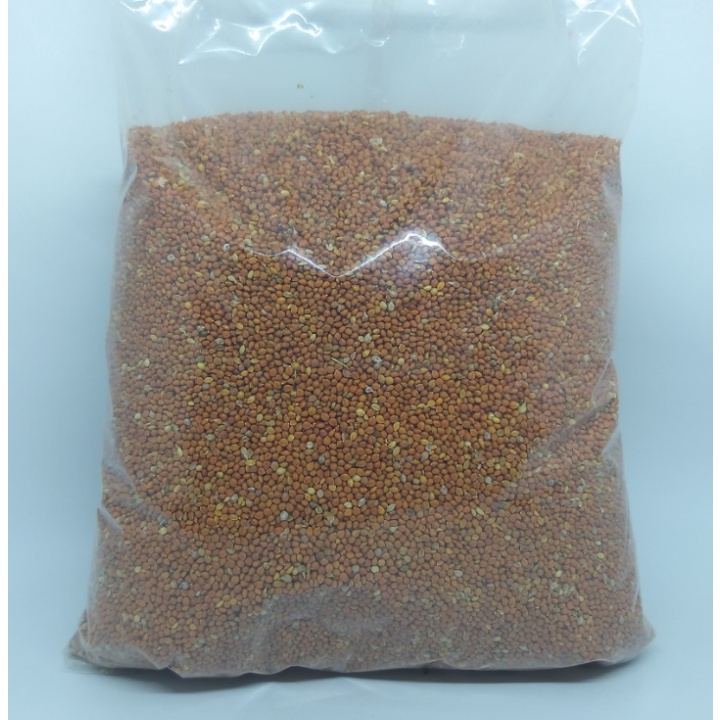 BIJIAN JAWAWUT JEWAWUT 1KG MAKANAN BURUNG HAMSTER TUPAI SUGAR GLIDER