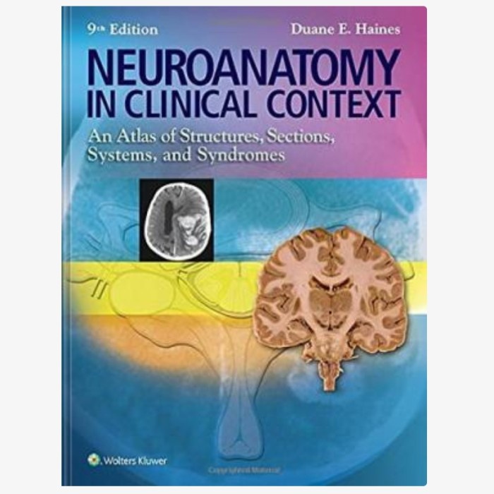Neuroanatomy in Clinical Context