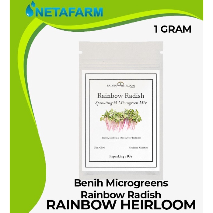 Benih Biji Bibit Rainbow Radish Microgreen Organik 1 Gram - 1 pcs