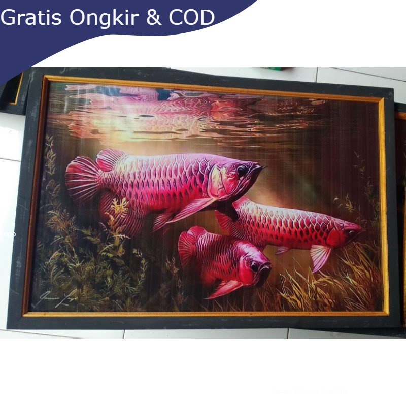 Lukisan murah poster murah hiasan dinding gambar ikan arwana super red plus bingkai ukuran 65×45