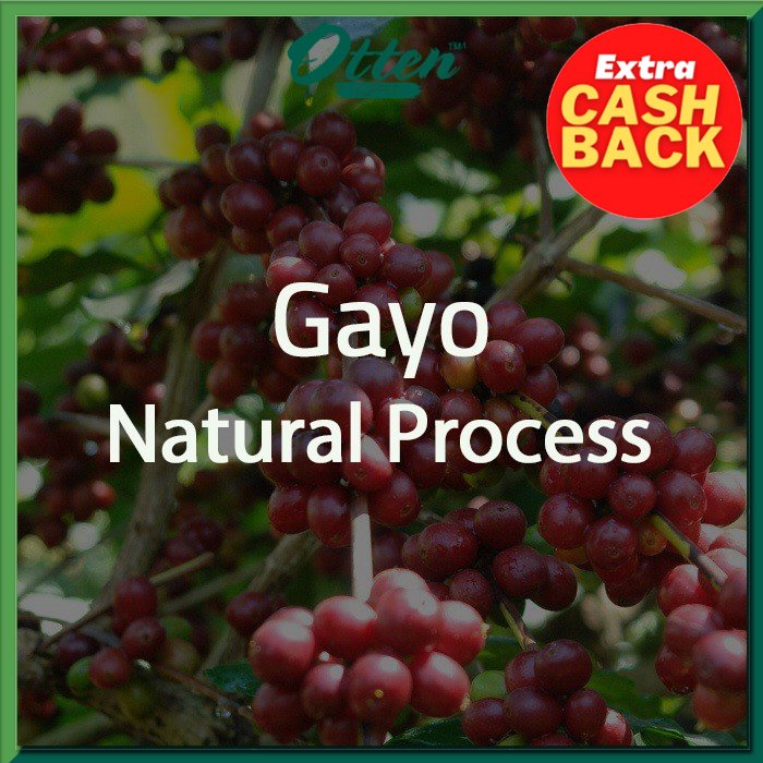 

Green Bean Kopi Arabica Aceh Gayo Natural Process - 1 Kg - Biji Kopi Mentah Siap Roasting - Otten Coffee