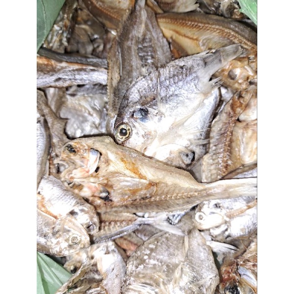 

ikan kering tawar