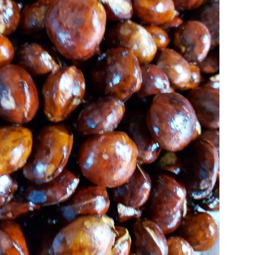 

Banyak Peminat JENGKOL TUA PILIHAN 1KG 66E$