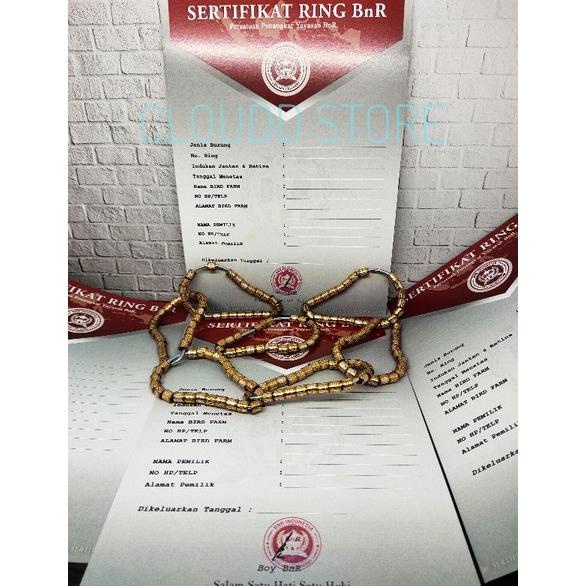 Grosir➯ Ring Murai batu BnR + Sertifikat yayasan BnR ( MB ) RESMI Termurah R54