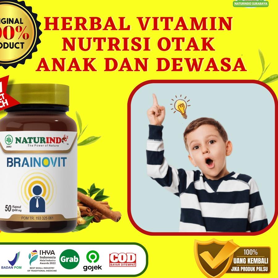 Vitamin Otak Anak Nutrisi Otak Anak Telat Bicara Obat Herbal Meningkatkan Daya Ingat Otak Herbal Sup