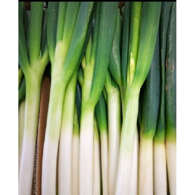 Daun bawang 1kg