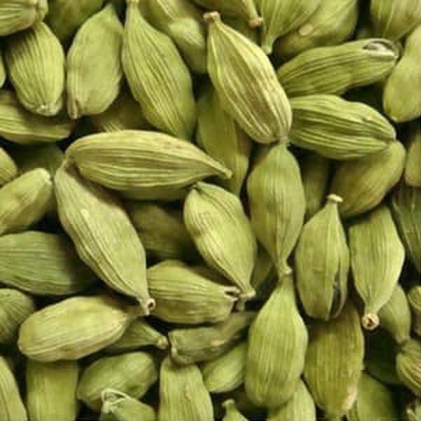 

➯ KAPULAGA HIJAU ASLI INDIA ۝