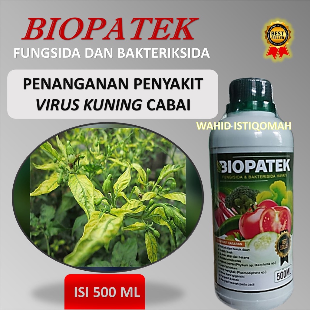 PROMO BIOPATEK Fungisida Hama Virus Kuning/Gemini cabe rawit/cabe,Pupuk Organik Hama Virus Kuning/Ge