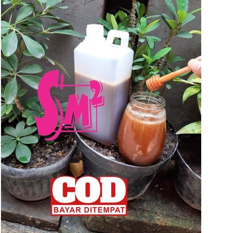 

♢ [PROMO ] sialang sumatera (kampar) netto 1 kg hutan sialang ➭