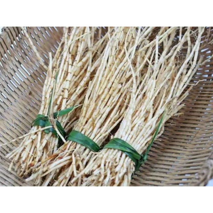 

akar alang alang segar herbal 500 gram